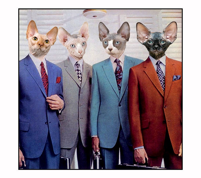 cats, photo collage, paper collage, Cat, Mid century modern, 60's, sphynx cat, color, digital collage, fun, silly, greeting cards, SET OF 4