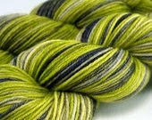 Merino Worsted - Little Green Alien