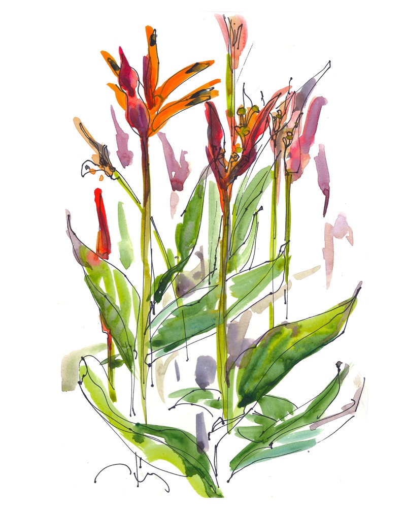 Botanical Watercolor Sketch, gift for gardener - 8x10 print from an original watercolor sketch