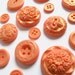 25 Edible Chocolate Buttons: Coral Reef