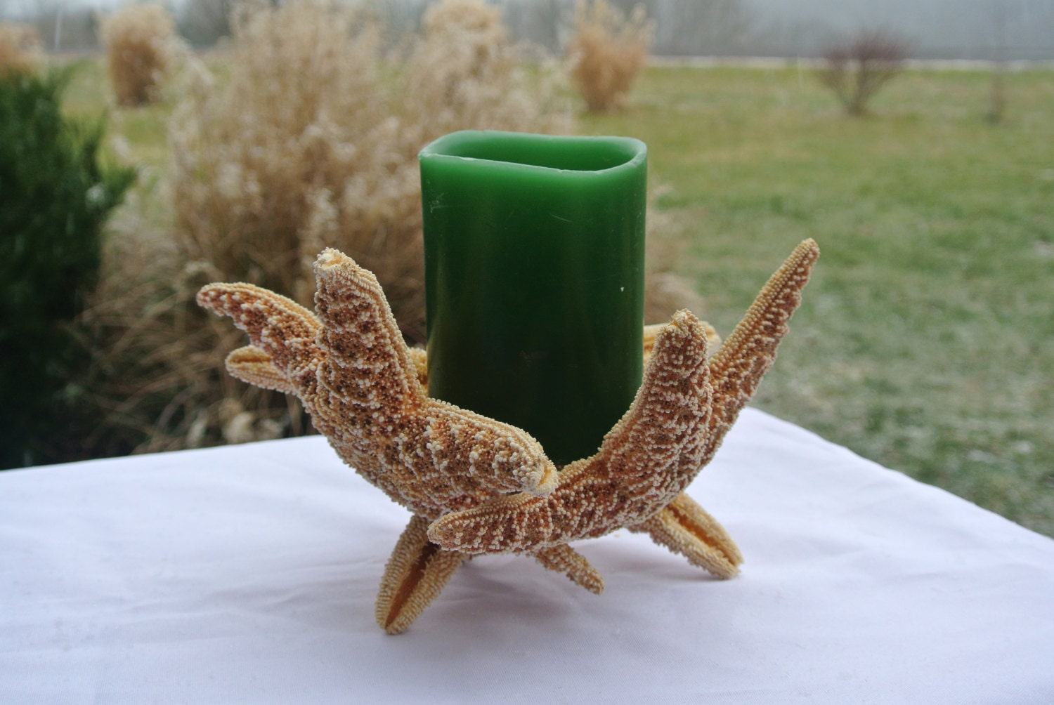 Sugar Starfish Centerpiece, Beach Wedding Decor, Candle Holder, Table Setting, Coastal Home Decor Ideas,  Engagement Party