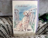to do now ( a spirit's song ) dog love