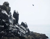 Ocean Photography - Beach Photograph - Oregon Coastal Cliffs -Rocky Outcrop - 8x10 Fine Art Photo