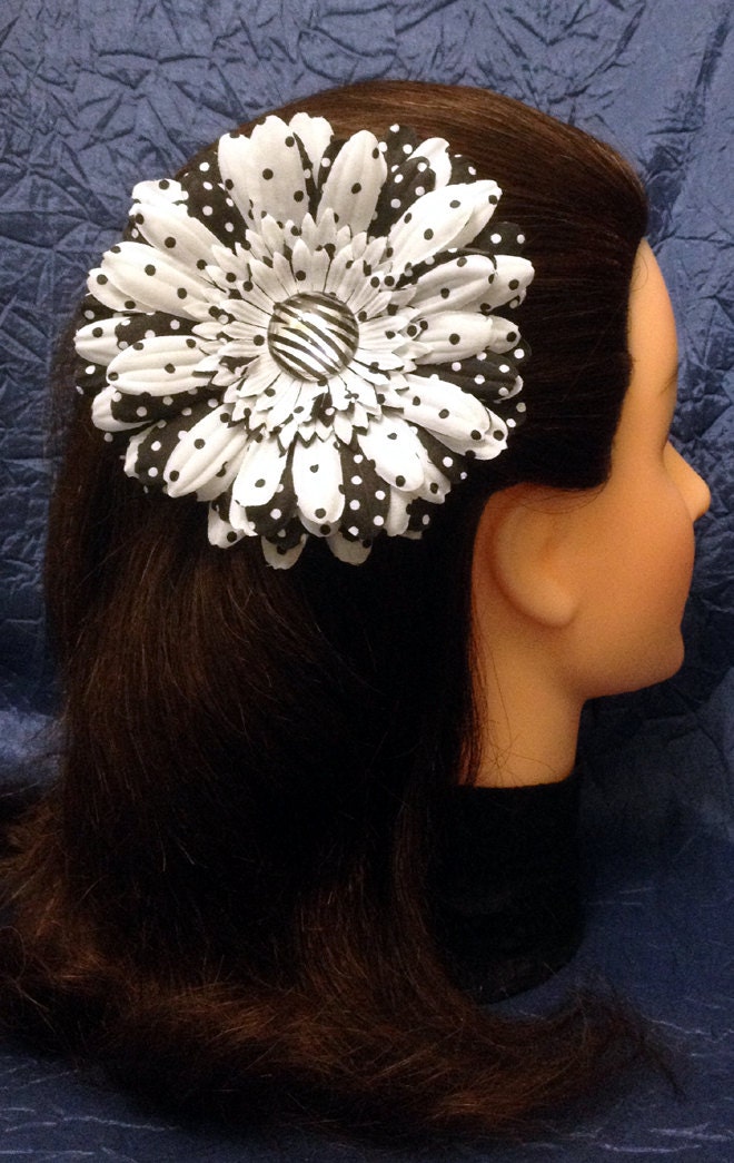 Black & White Polka Dot Daisy Hair Clip Zebra Acrylic Jewel Polka Dot Gerber Daisy Black and White Gerbera Daisy