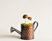 READY TO SHIP - Mushrooms in Mini Watering Can - Needle Felted Sculpture - Woodland Nature Home Decor All Natural Wool Felt Gift Decoration