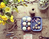 Still Life, "Eater Eggs" Limited Edition, Signed, Fine Art Photographic Print.
