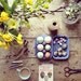 Still Life, "Eater Eggs" Limited Edition, Signed, Fine Art Photographic Print.