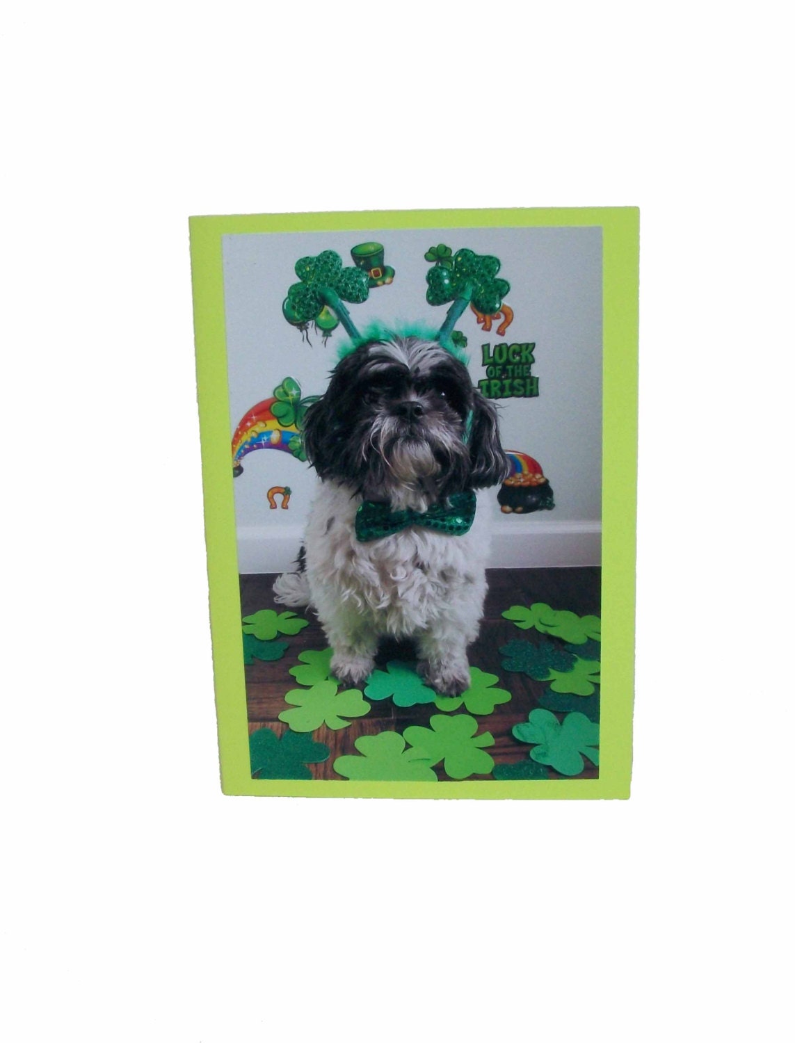 Shih Tzu Greeting Card, Shih Tzu Irish Card, Dog Irish Card