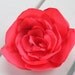 Coral pink crepe satin hair flower. Bridal/ bridesmaid singed cabbage rose hair clip. choose your colors.