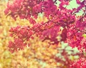 Spring Blossom Photography, Pink, Flower Photography, Summer, Shabby Chic Decor, Romantic, French Country Home Decor - Love Me Tender