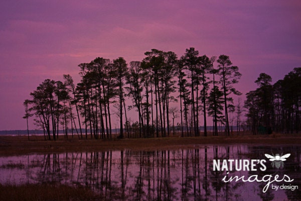 Maryland Sunset Photo - Dreamy Landscape Image - 8X12 Print, Home Decor, Landscape Photography, Nature Photography,purple