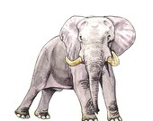 African Bull Elephant, 6x6, original pen and ink/watercolor painting. African animals, wild animals, home decor earthspalette
