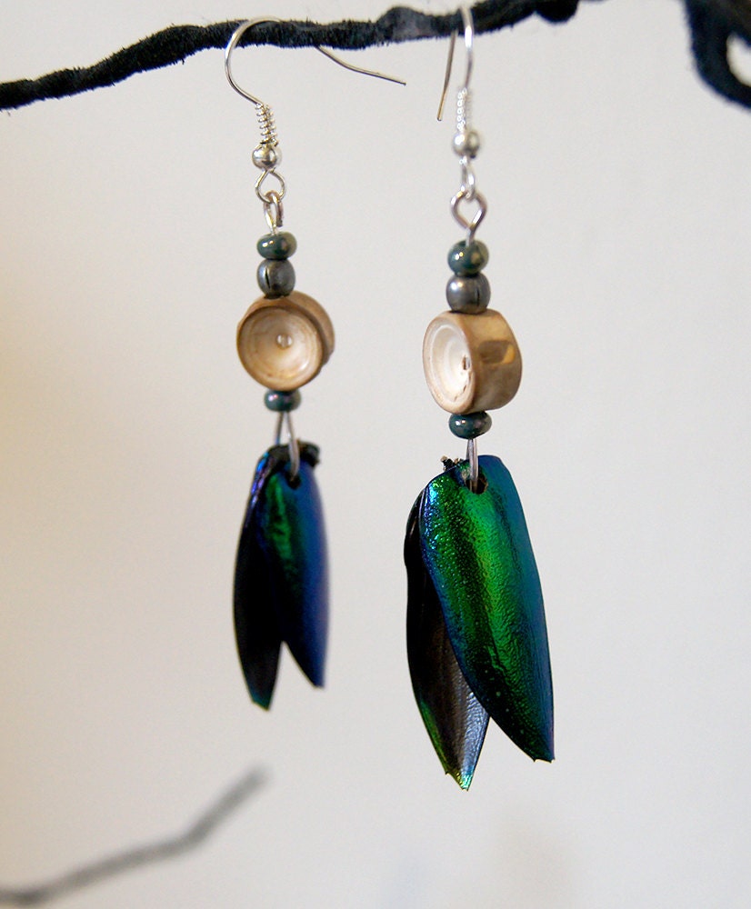 Shark Vertebrae and Beetle Elytra Earrings