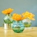 Trio of Round Jar Bud Vases or Candle Holders, Lightly Tinted Glass with Delicate Lace Detailing