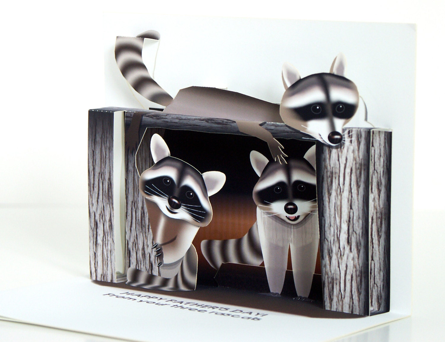 3D Pop up Raccoon Fathers Day Card three rascals Available in two sizes