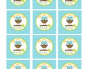 Teachers or Students -- End of School Year Party -- Owl Party Circles/Favor Tags