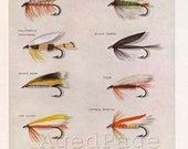 Vintage Print, Trout Fishing Flies, Art Illustration, Wall Decor, Double Sided, Wet Flies, Plates 9 & 10