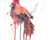 Cardinal -- 8.5 x 11 Watercolor Print