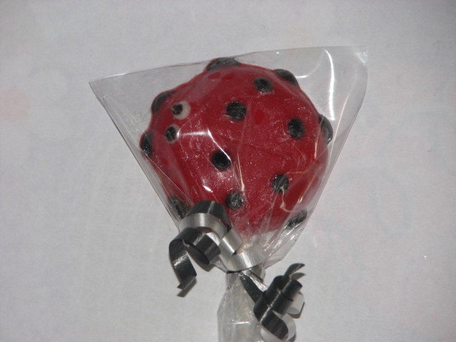 Ladybug Chocolate Lollipops
