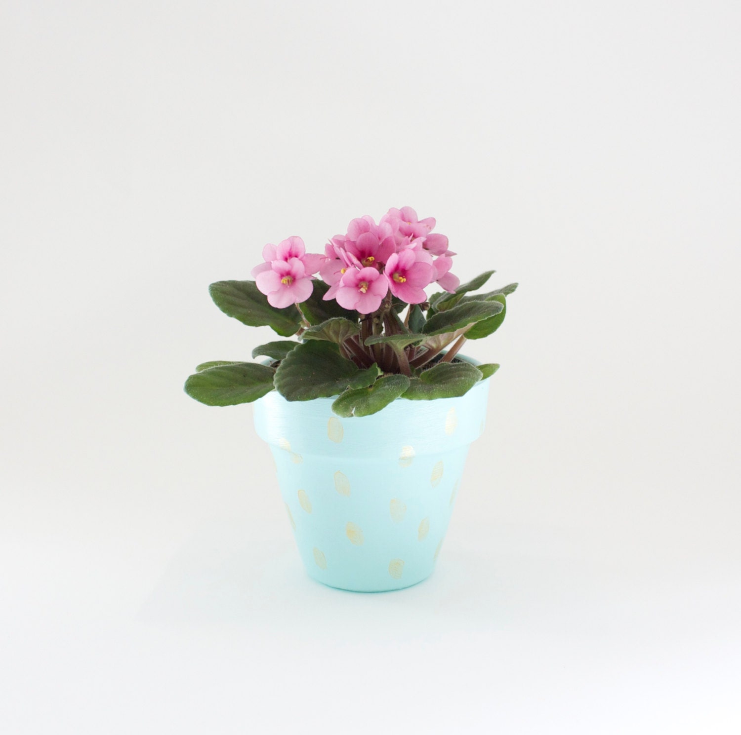 Small planter, plant pot spring decor, painted pastel pottery with gold polka dots