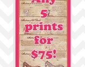 Print Deal- Any 5 11x17in prints
