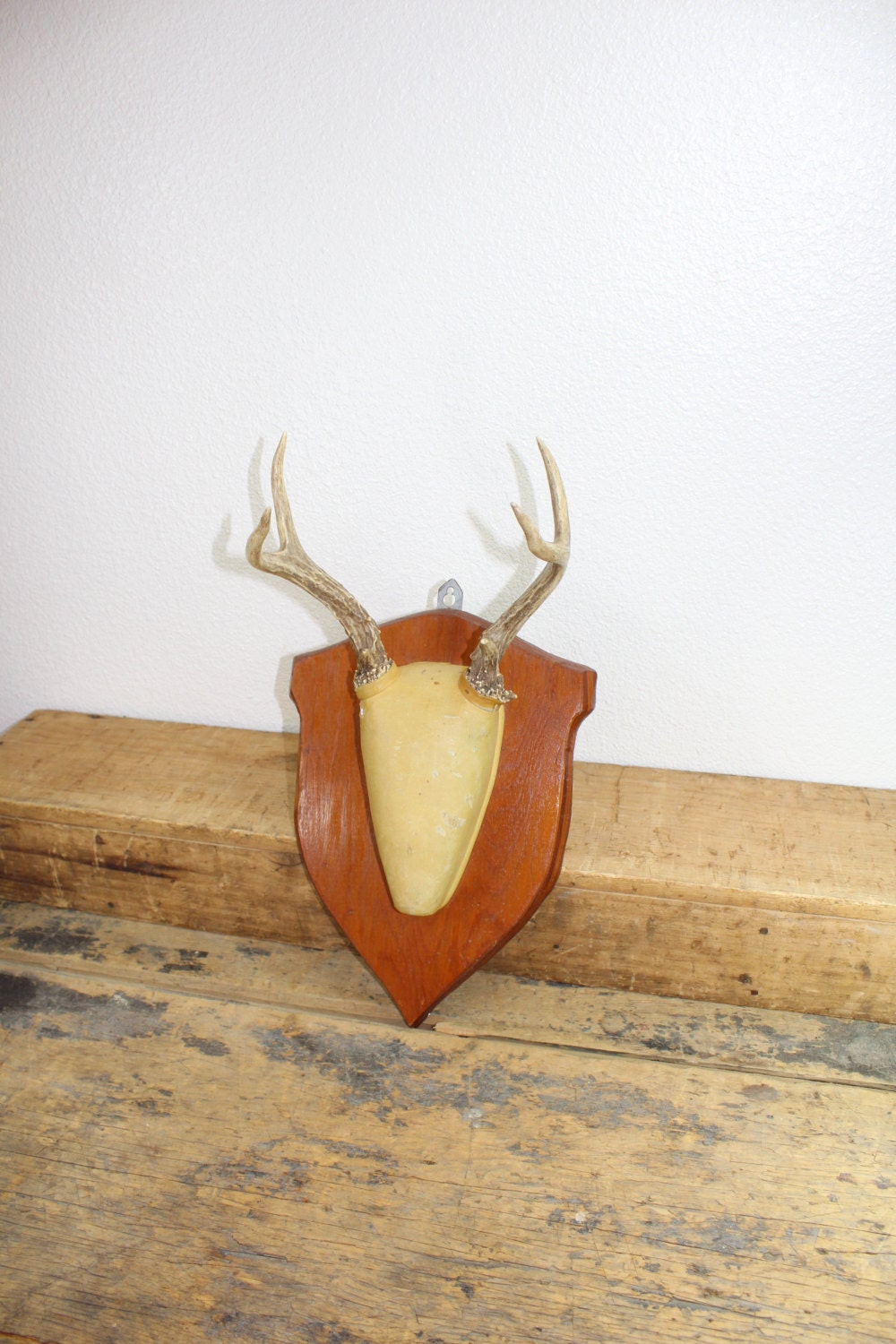 1970s Mounted / Hanging Deer Antlers