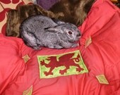 The Bun-velope - soft carrier liner blanket for bunny rabbits Welsh dragon quilted cotton