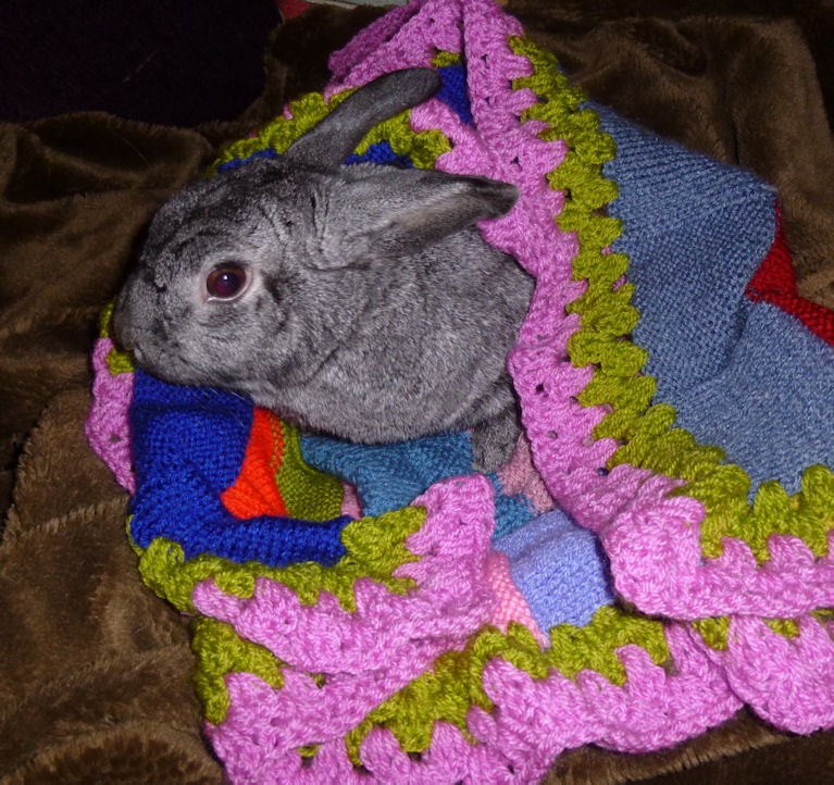 bunny mat and blanket set for rabbits hand knitted crochet acrylic blue and pink