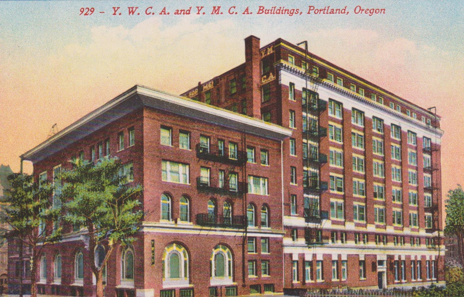 Portland, OREGON - YWCA And YMCA Buildings, y. w. c. a., y. m. c. a., Vintage Unused Postcard, 1910s, Edward h. Mitchell