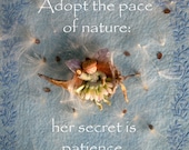 Adopt the Pace of Nature print 8.5 x 11