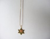 A Star is Born - Rose Cloisonne Necklace