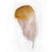 Watercolor painting of feather. Pale pink and mustard feather. Art painting original. Small watercolor 7,5 by 11 inches