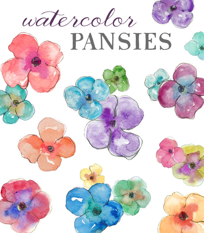 Watercolor Pansies - Clip Art