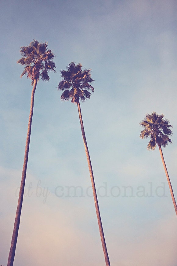 Sunshine & Warmth - 11 x 14 Photographic Print