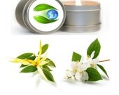 Romance Aromatherapy Soy Candle 8 oz. - Pure Essential Oil - Aromatherapy Candles - Travel Tin Candles - Scented Candles - Vegan Organic