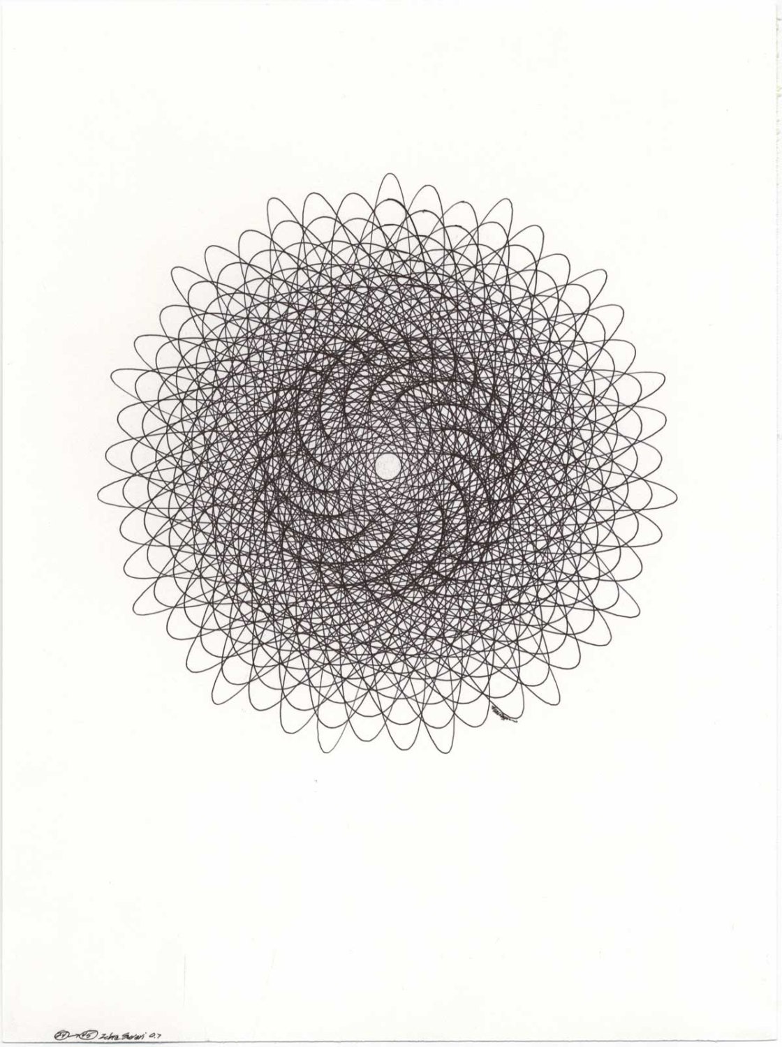 Set of 3 Original Ink Drawings Black and White Art Nautilus Spiral Art Line Drawing Geometric Drawing Abstract Art, Lacy Lines 9"x12"