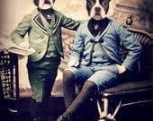 Dog Art Print, Boston Terrier Art, Mixed Media Collage, "Boston Brothers" 8 x 10 Vintage Sepia Photography, Watchful Crow