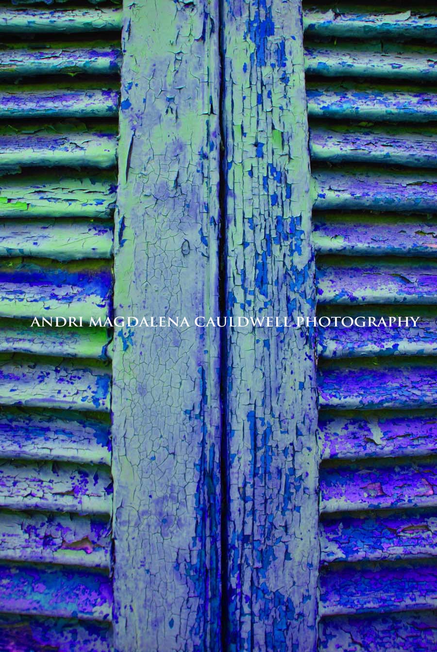 New Orleans, French Quarter Shutters - Wall Art