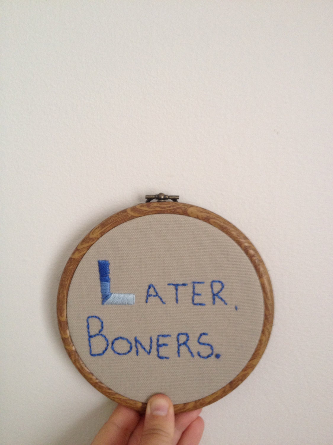 it's always sunny in philadelphia dee quote 'later, boners' embroidery hoop handmade art 6 inches