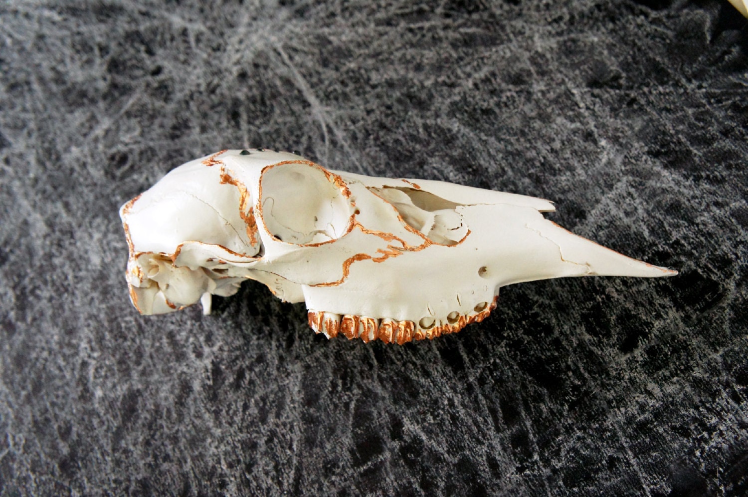 SALE Deer Skull Taxidermy // painted // distressed in copper // genuine swarovski