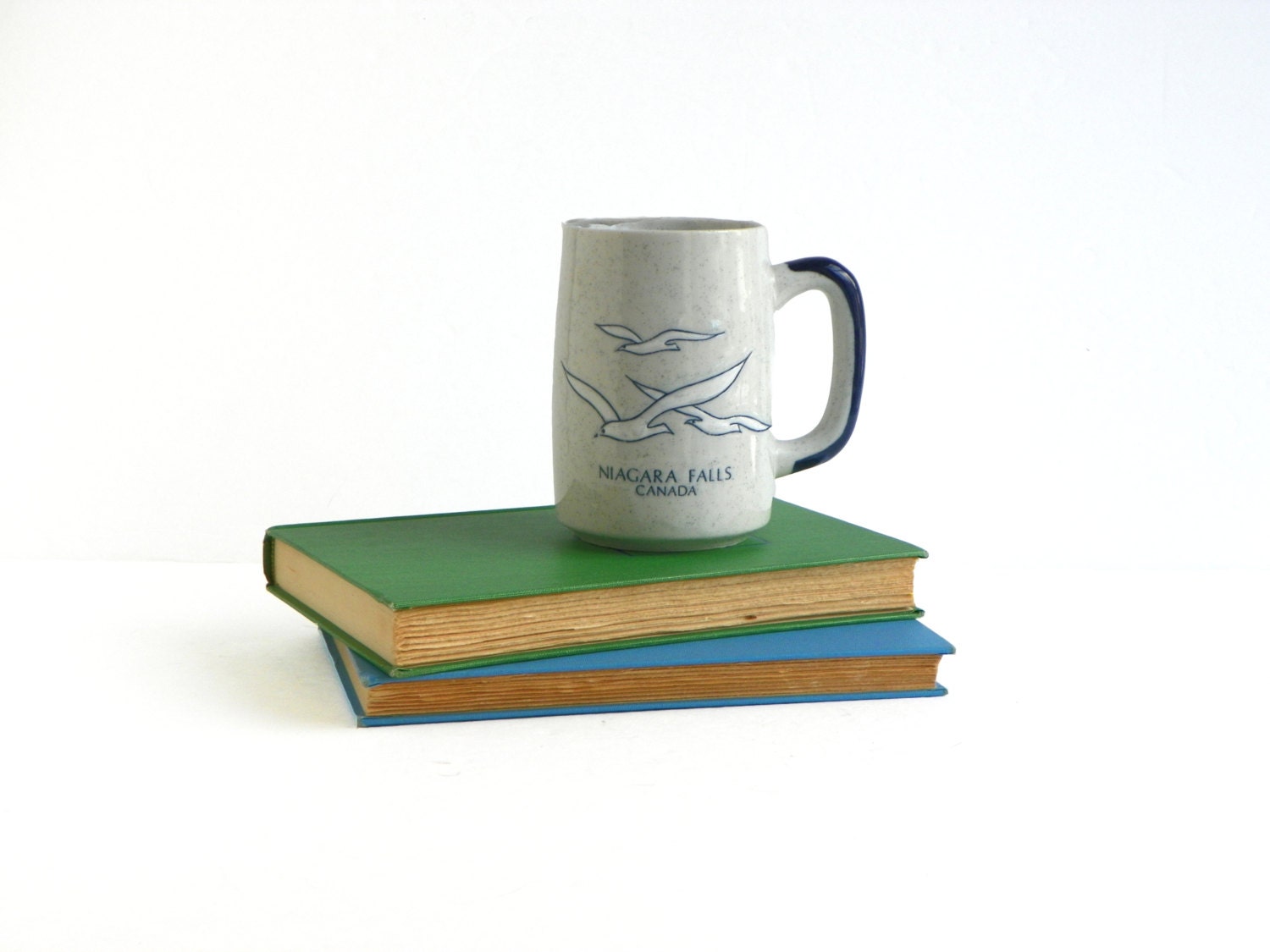 Vintage Niagara Falls Souvenir Mug