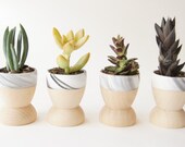 Mini Planters set of 4, Modern Decor, Father's Day, Black and White