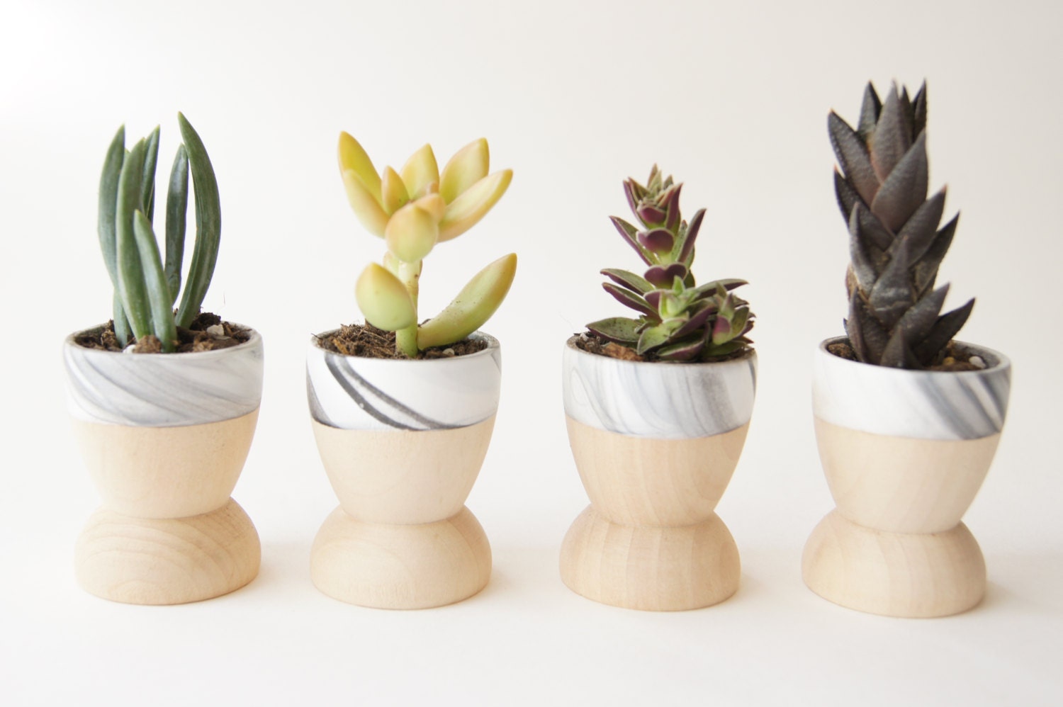 Mini Planters set of 4, Modern Decor, Father's Day, Black and White