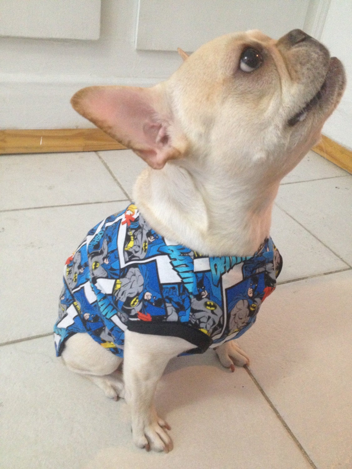 Comic Book / Superhero Dog Jacket / Coat- Batman, Superman, Marvel fabric options