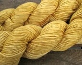 Hand Dyed Superwash Wool DK Sport Yarn - Butternut