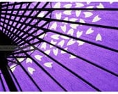 Purple Parasol Photo Print