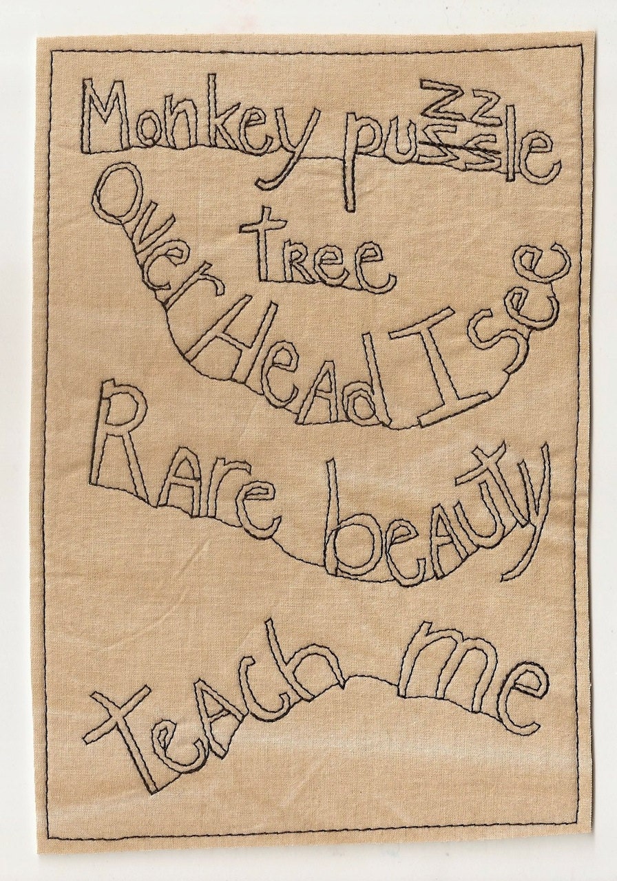 Monkey Puzzle Tree, original  stitched thought