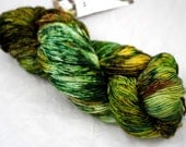 Limited Edition Hand Painted S. American SW Merino Sock Yarn - Beetle Back