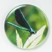 Damsel Fly - Flat Art Purse or Pocket Mirror - Art Photo by Nathan Baerreis - Velour Bag included 2 1/4 Inch