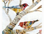 Colorful Birds in Tree Branches, The Warblers, Giclee Art, 16x16 Print on Paper - dolangeiman